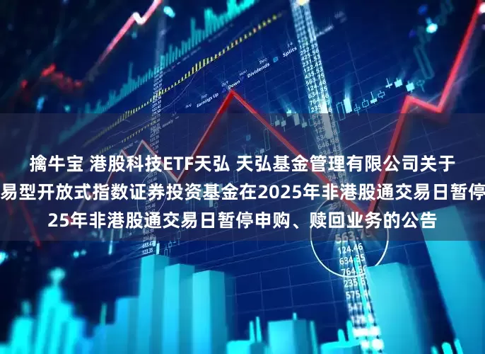 擒牛宝 港股科技ETF天弘 天弘基金管理有限公司关于天弘国证港股通科技交易型开放式指数证券投资基金在2025年非港股通交易日暂停申购、赎回业务的公告
